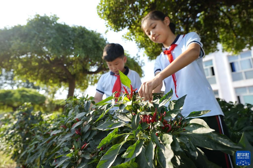 澳门所有游戏平台